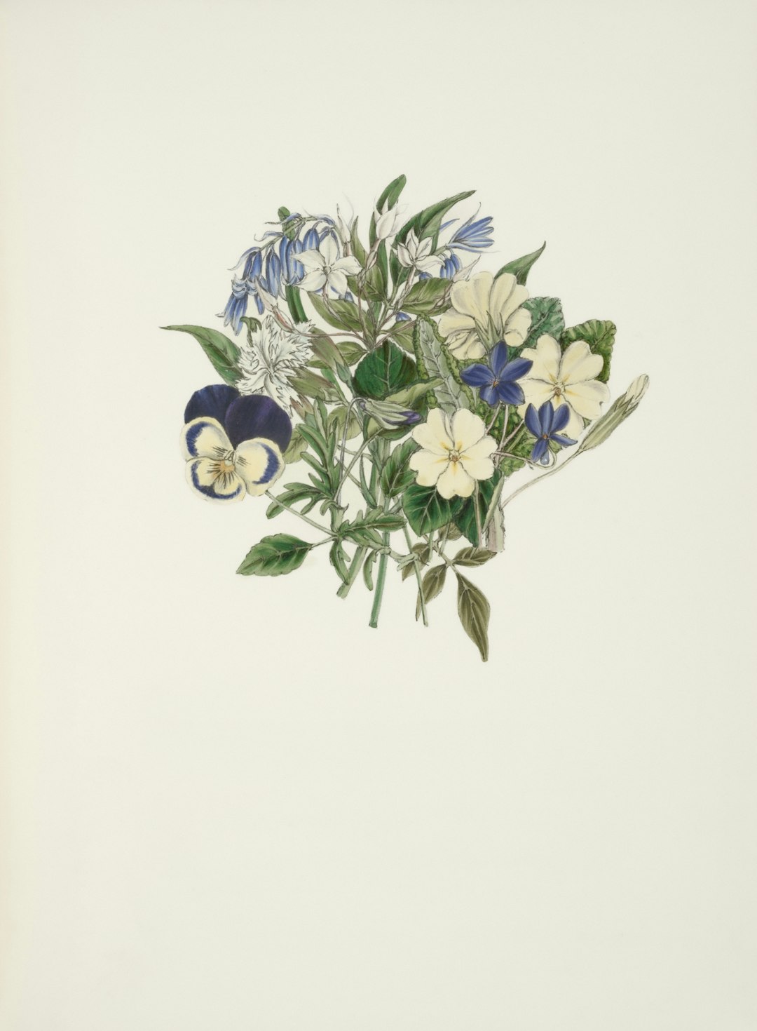Botanical Studies